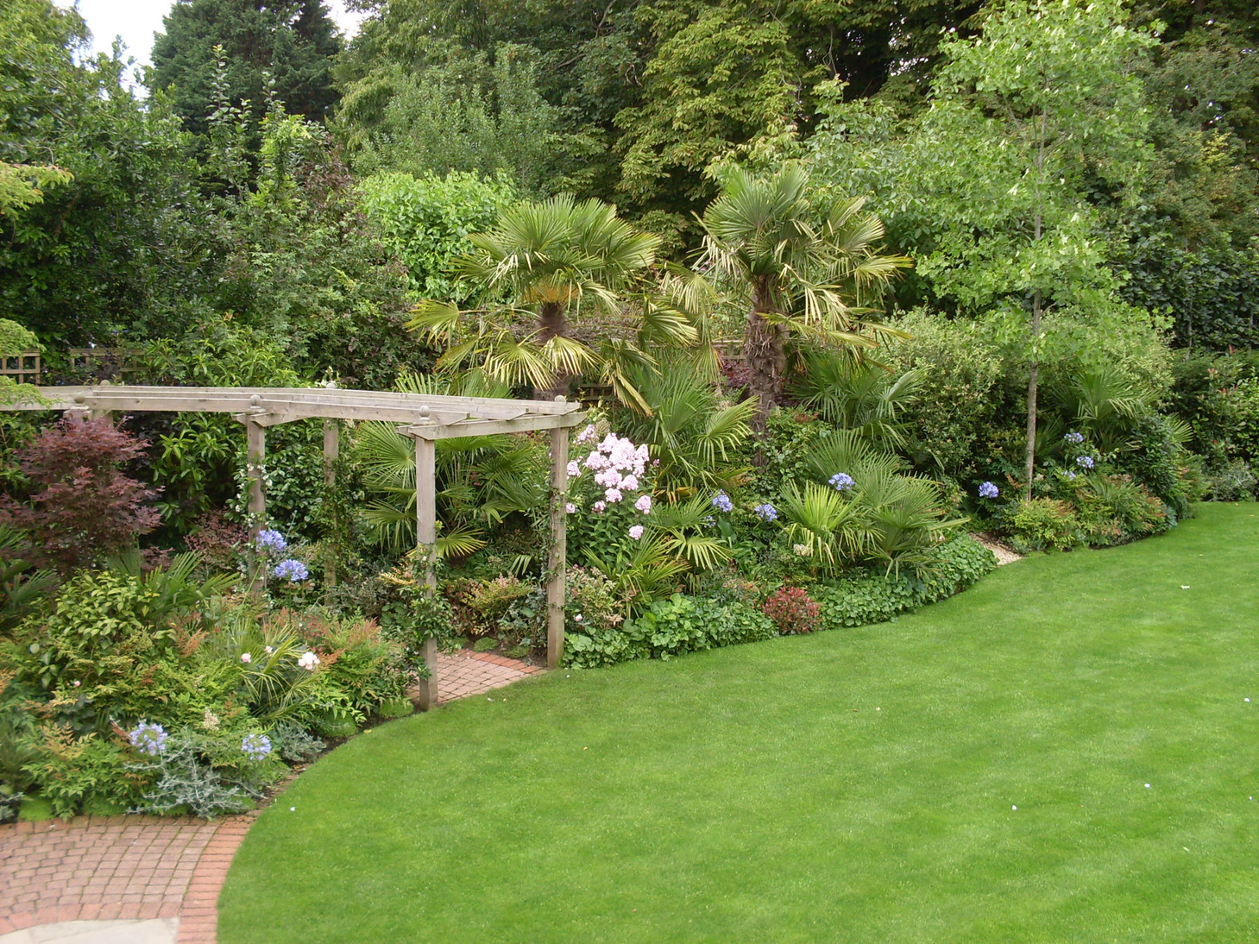 Evergreen garden with lawn and tall palm trees